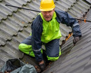 gutter cleaning